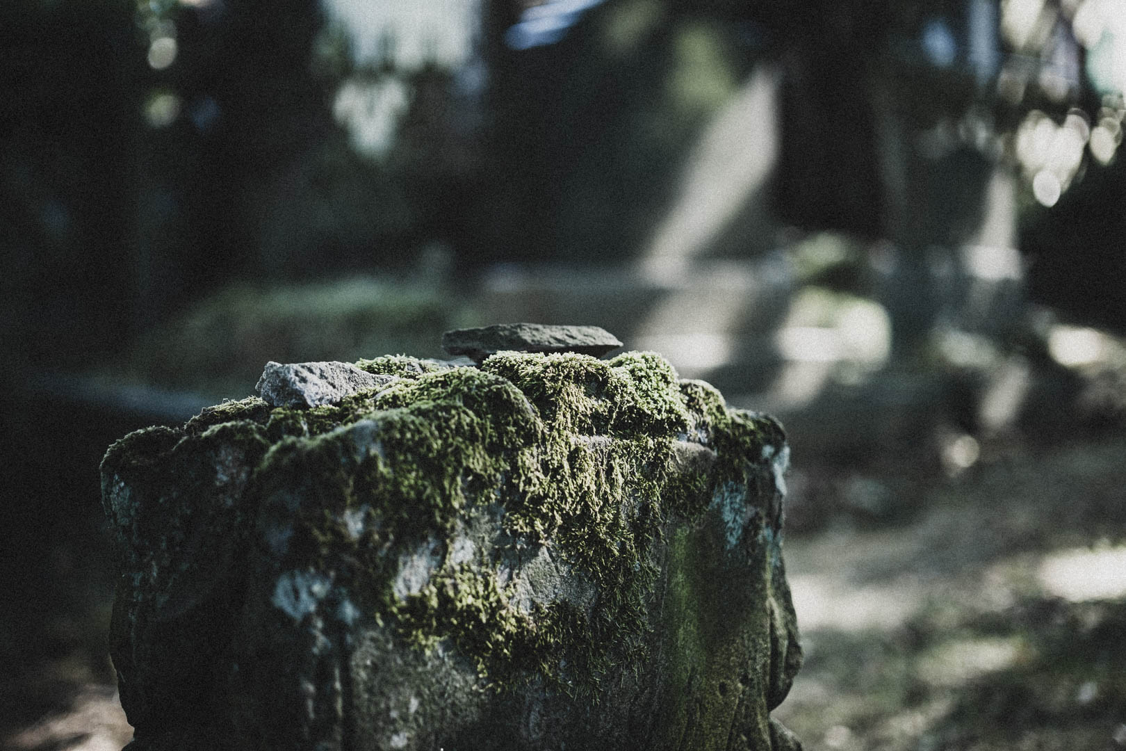 Dornum, Jüdischer Friedhof